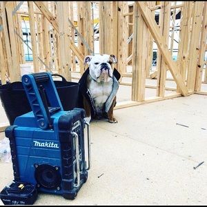 Meet your Posher, Calin